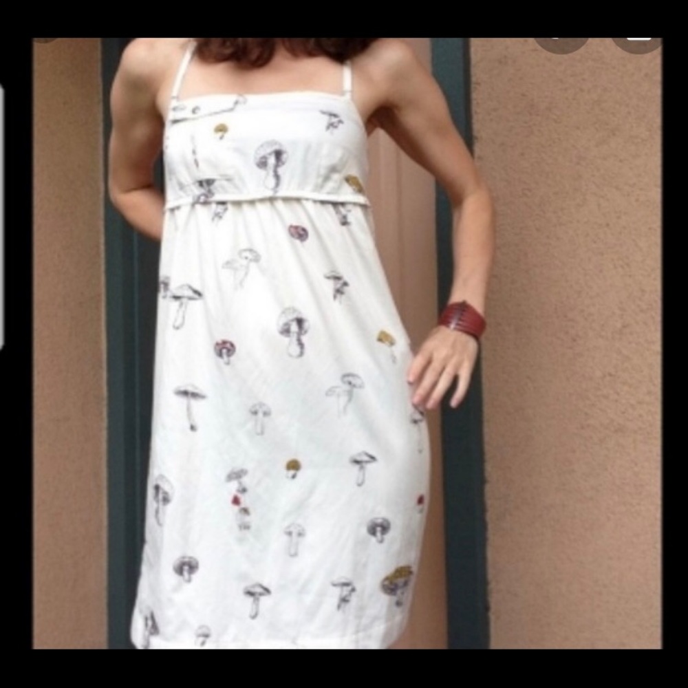 Anthropologie lilka mushroom chemise dress
